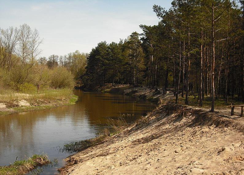 Chatka Nad Swidrem Mladz Exterior foto